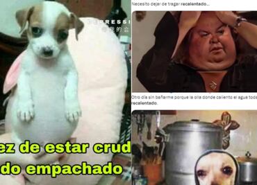 Sigue ola de "memes" por segundo día de recalentado navideño