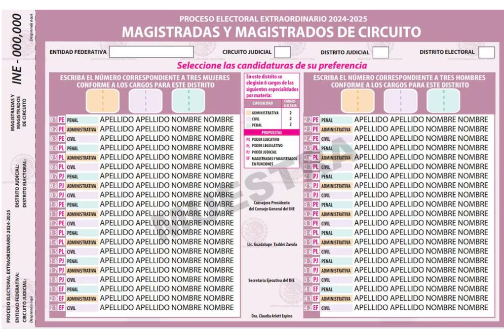 Boleta para Magistradas y magistrados de Circuito. Foto: Captura de pantalla