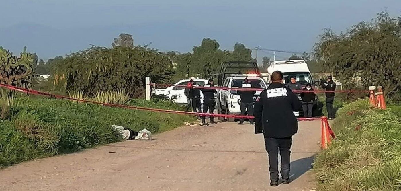 Hallazgo en Actopan | Foto: especial