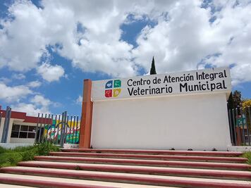 En Pachuca, 8 de cada 10 denuncias al CAIVM son por maltrato animal