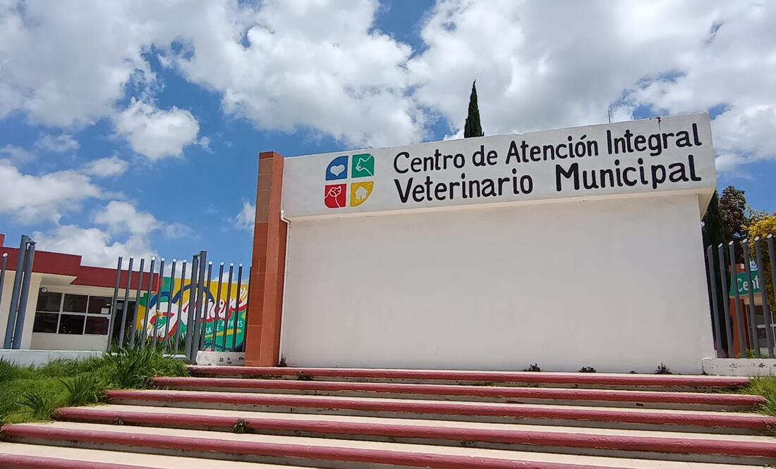 Foto: Lourdes Naranjo