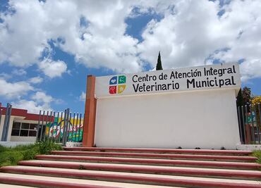 En Pachuca, 8 de cada 10 denuncias al CAIVM son por maltrato animal