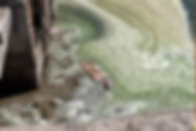 Hallan el cuerpo de una mujer flotando en canal de aguas negras en Tasquillo