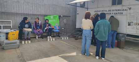 Alertan en Tizayuca por falsos vacunadores de mascotas