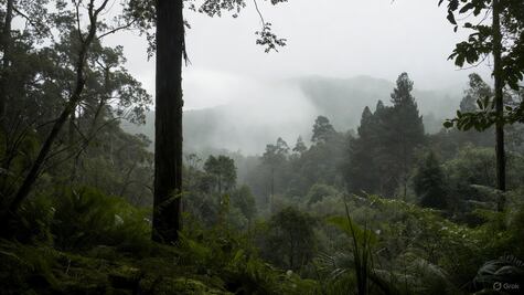 Preven lluvias intensas y vientos fuertes en la Huasteca y Sierra Otomí este fin de semana