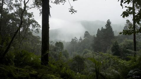 Preven lluvias intensas y vientos fuertes en la Huasteca y Sierra Otomí este fin de semana
