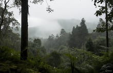 Preven lluvias intensas y vientos fuertes en la Huasteca y Sierra Otomí este fin de semana