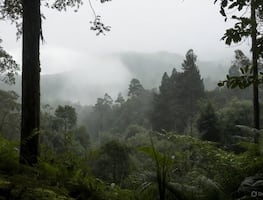 Preven lluvias intensas y vientos fuertes en la Huasteca y Sierra Otomí este fin de semana