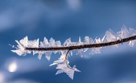 Se acerca el frente frío 28 con lluvias y heladas