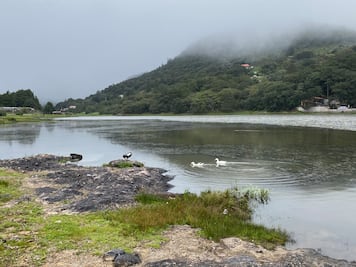 Hidalgo recuperará 650 millones de m³ de agua al año con tecnificación de riego