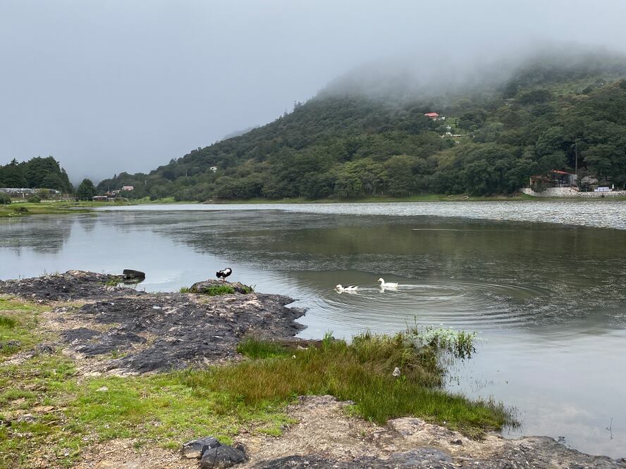 Alfajayucan, Ajacuba y Tula son los distritos de riego de Hidalgo | Foto: Luis Soriano