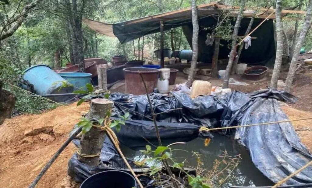 Caen dos tras desmantelamiento de narcolaboratorio en Acaxochitlán | Foto: especial