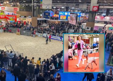 Un Xoloitzcuintle se roba las miradas en la Feria de Agricultura en París 2025