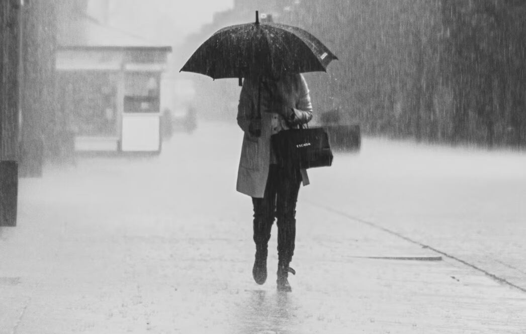 Foto: Imagen ilustrativa. Foto: Pexels