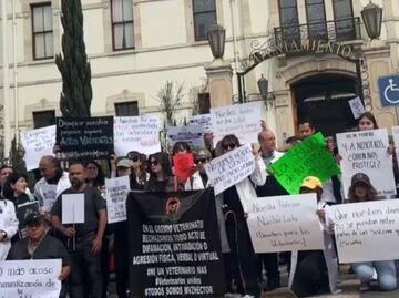 Veterinarios de Hidalgo exigen alto a amenazas y criminalización de su profesión
