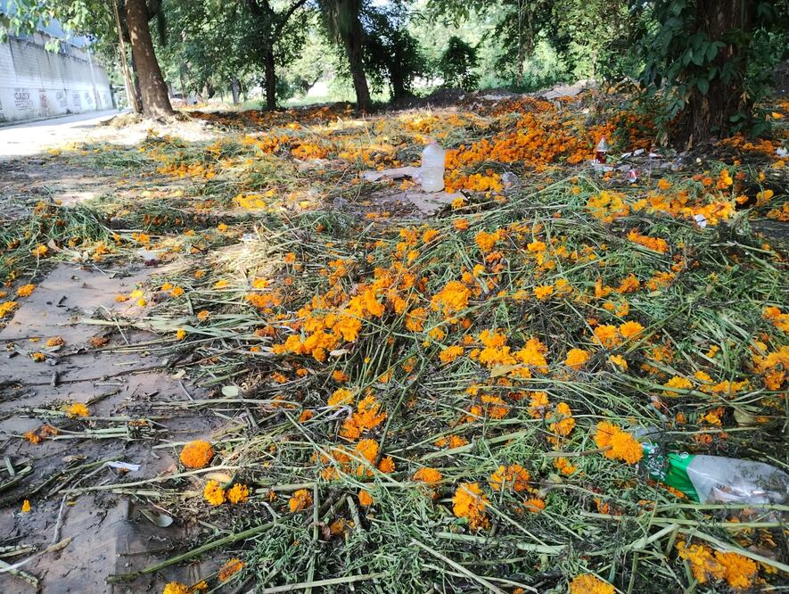 Comerciantes locales vendieron rollos de flor criolla hasta en 250 pesos | Foto: Francisco Bautista