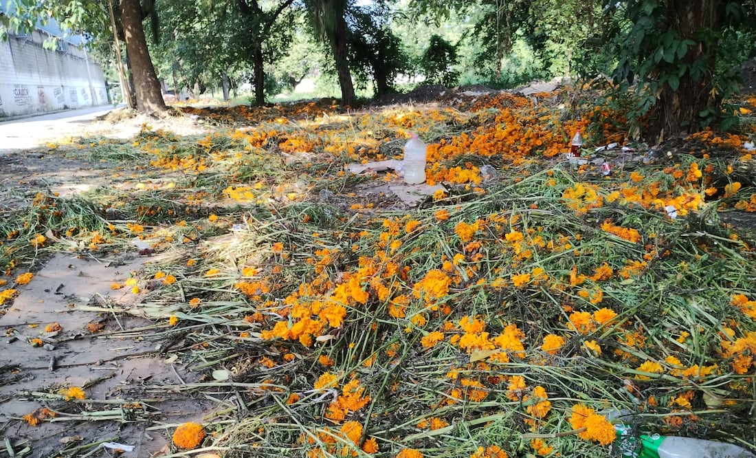 Comerciantes locales vendieron rollos de flor criolla hasta en 250 pesos | Foto: Francisco Bautista