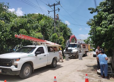 Pobladores de Nicolás Flores piden mantenimiento a las líneas eléctricas