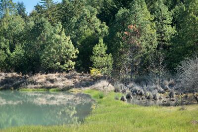 Naturaleza y aventura en Rancho Santa Elena, a un paso de Pachuca