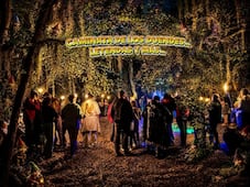 Huasca invita a vivir una noche entre leyendas y duendes en pleno bosque