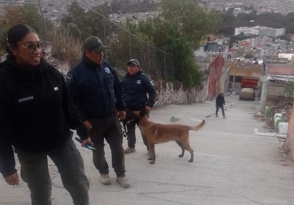 Cuerpos de emergencia buscan una posible fosa clandestina en el barrio Las Lajas Foto: Especial