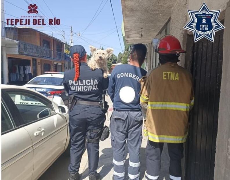 Policía y bomberos de Tepeji del Río rescatan a un perro atrapado en auto | Foto: Especial
