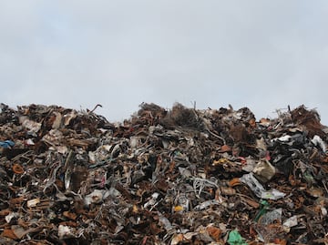 Vecinos de El Cerro de la Cruz piden que clausuren basurero ilegal