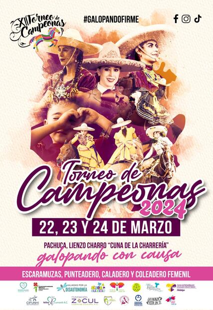 Facebook: Torneo de Campeonas oficial