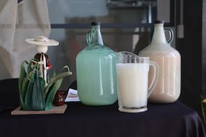 Presentan la segunda edición de la Expo Maguey, Pulque y Barbacoa 2025 en Hidalgo