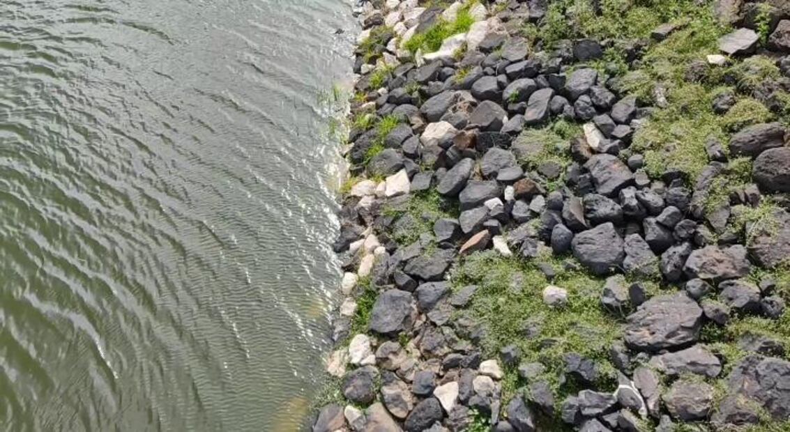 Llega a su nivel más bajo la presa La Estanzuela | Foto: Arturo Torres