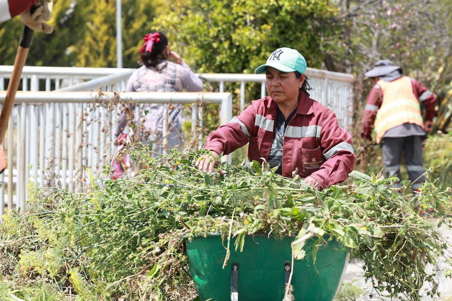 Entre basura, drenes y bulevares: la historia de “Panchita”, 18 años limpiando las calles de Hidalgo | Foto: especial
