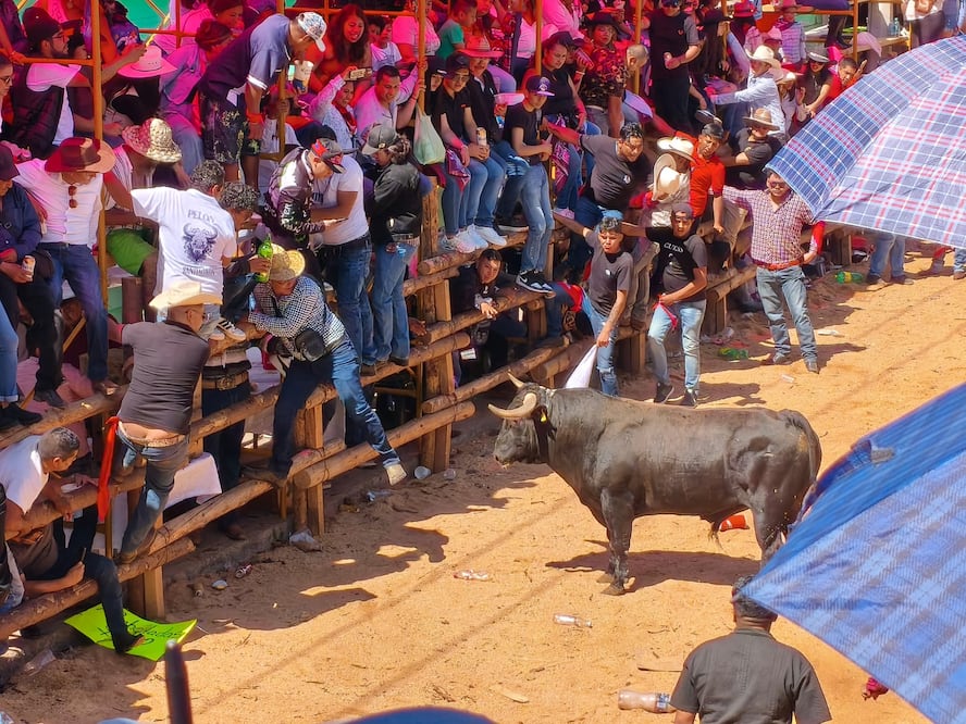 Foto: Mirely Santos