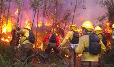 Licitan mantenimiento del sistema de monitoreo de incendios forestales