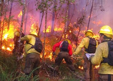 Licitan mantenimiento del sistema de monitoreo de incendios forestales