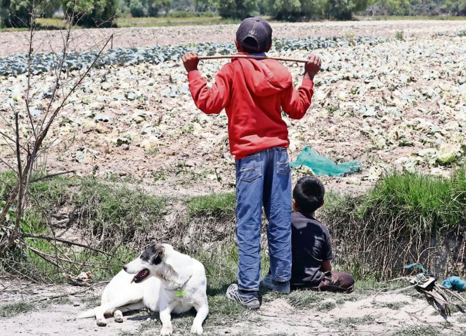 En Hidalgo, el 8.2 por ciento de infantes y adolescentes están en riesgo de ser reclutados o utilizados por grupos delictivos Foto: Archivo El Universal