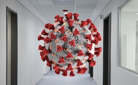 Casos de sarampión aumentan en Hidalgo, pero se mantienen por debajo del promedio nacional