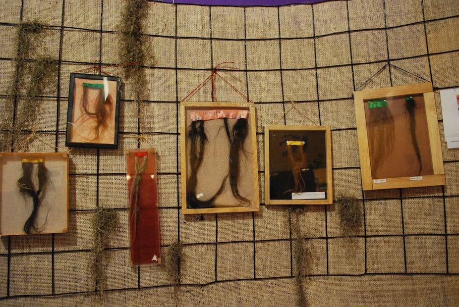 Descubre el misticismo de Huasca de Ocampo entre leyendas y naturaleza | Foto: Wikimedia Commons