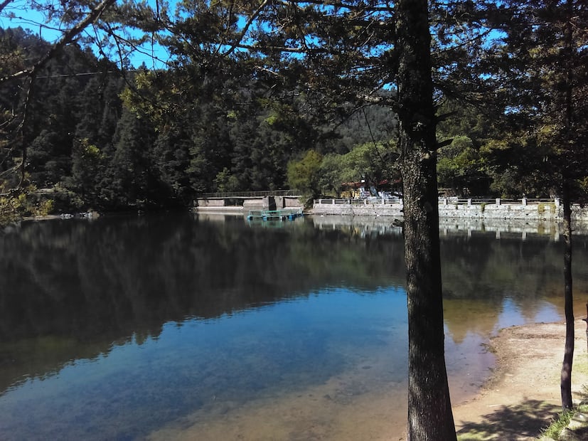 Celebrarán Torneo de Pesca Otoñal en El Cedral; promueven turismo y convivencia familiar en Mineral del Chico | Foto: Wikimedia Commons