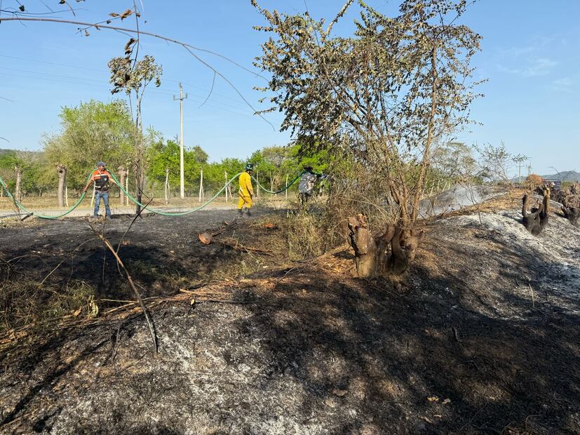 Foto: Francisco Bautista