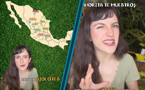 Advierte influencer por deterioro del hábitat de una población de ajolotes en Hidalgo