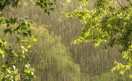 Huracán Otis gener ligeras lluvias en Hidalgo