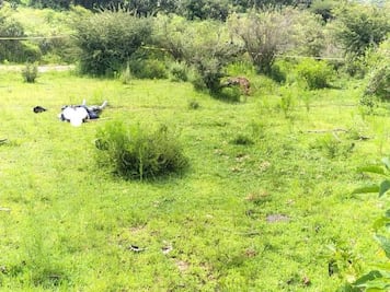 Hallan cadáver de hombre baleado en Tepeji del Río