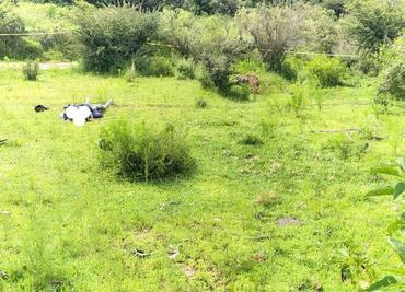 Hallan cadáver de hombre baleado en Tepeji del Río