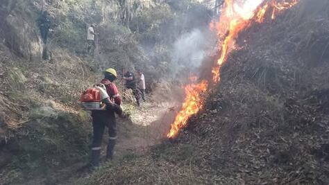El 98% de incendios forestales en Hidalgo son provocados