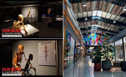 Pachuca recibe la exposición "Our Body: El Universo dentro de Cuerpos Humanos Reales"