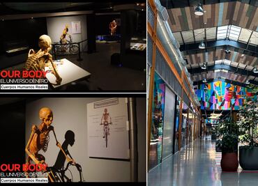 Pachuca recibe la exposición "Our Body: El Universo dentro de Cuerpos Humanos Reales"
