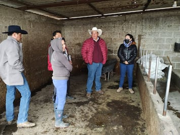 Preocupación en el Valle de Tulancingo por posible enfermedad en bovinos