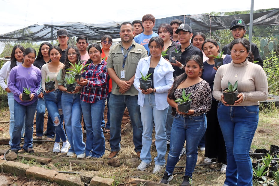 ¿Sabías que el agave salmiana podría ser clave para recuperar las zonas semiáridas de Hidalgo? Foto: SEPH
