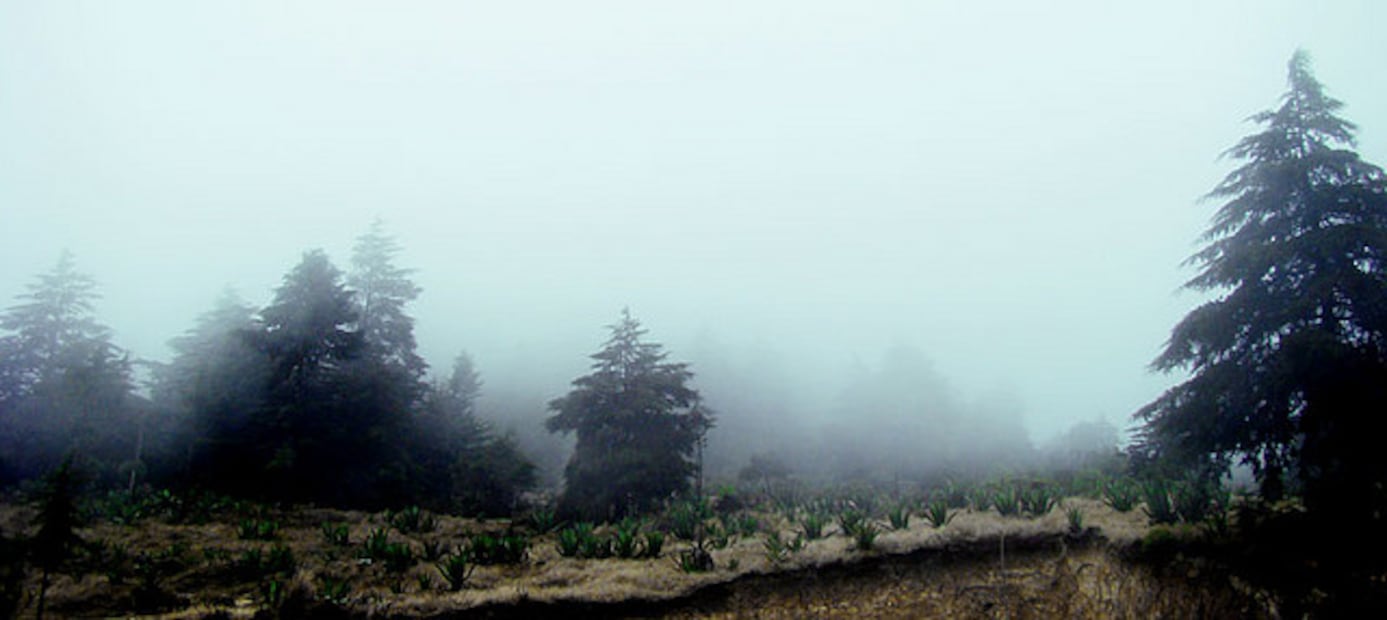 Real del Monte inicia la Feria Patronal 2026 en honor al Señor de Zelontla | Foto: Wikimedia Commons