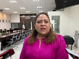 IEEH analiza si organizará la consulta sobre el Parque de Economía Circular en Tula, Atitalaquia y Tlaxcoapan